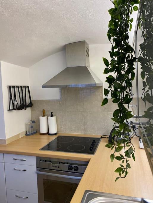 Spacious Flat In The Most Desirable Area Of Londra Dış mekan fotoğraf
