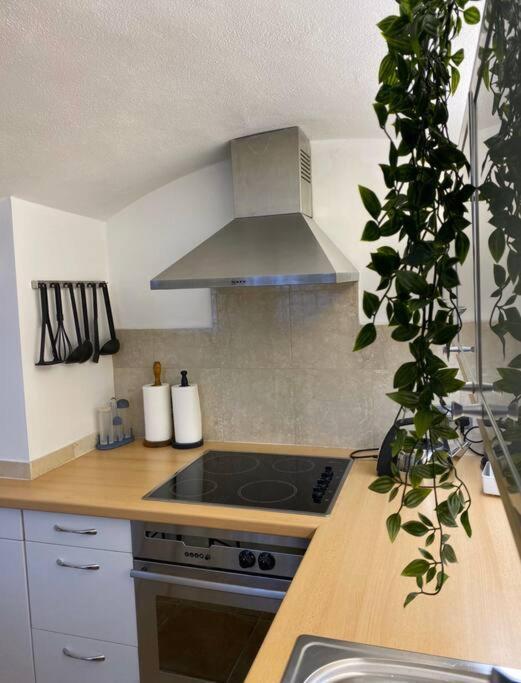 Spacious Flat In The Most Desirable Area Of Londra Dış mekan fotoğraf